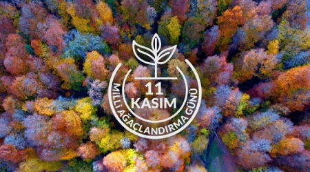 MİLLİ AĞAÇLANDIRMA GÜNÜ