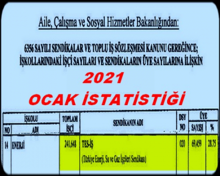 OCAK 2021 İSTATİSTİĞİ 
