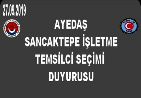 AYEDAŞ TEMSİLCİ SEÇİMİ