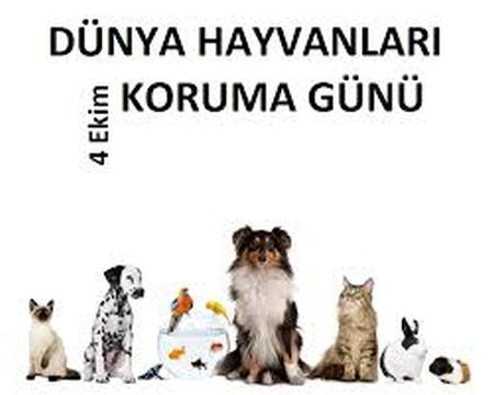 DÜNYA HAYVAN HAKLARI GÜNÜ