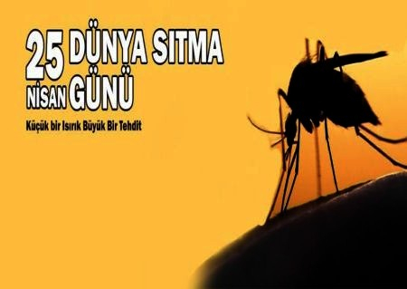 DÜNYA SITMA GÜNÜ