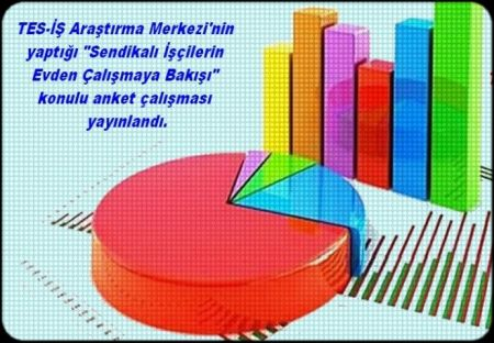 TES-İŞ ANKETİ YAYINLANDI
