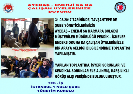 -31.03.2017- AYEDAŞ ENERJİSA PENDİK-İÇMELER