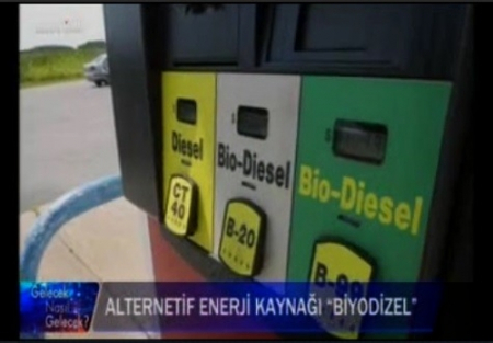ALTERNATİF ENERJİ BİYODİZEL