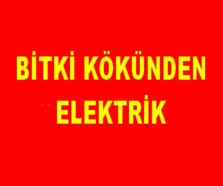 BİTKİ KÖKÜNDNEN ELEKTRİK
