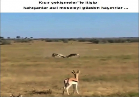 KISIR ÇEKİŞMELER