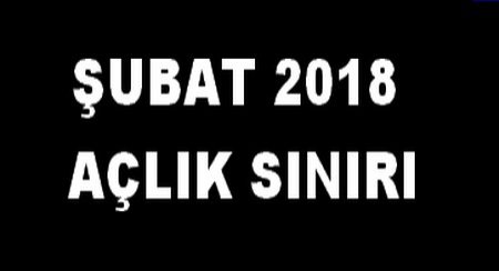 ŞUBAT 2018 AÇLIK SINIRI