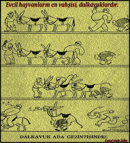 dalkavuk ada gezintisinde