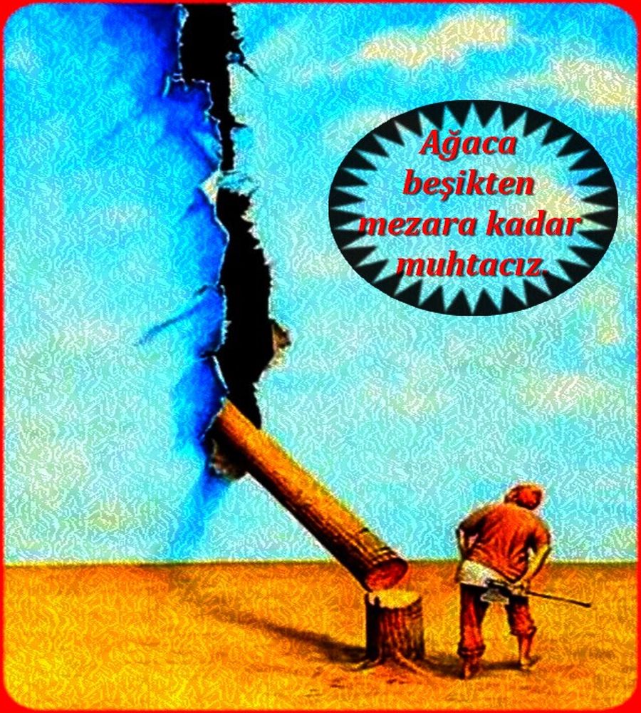 AĞACA BEŞİKTEN MEZARA KADAR