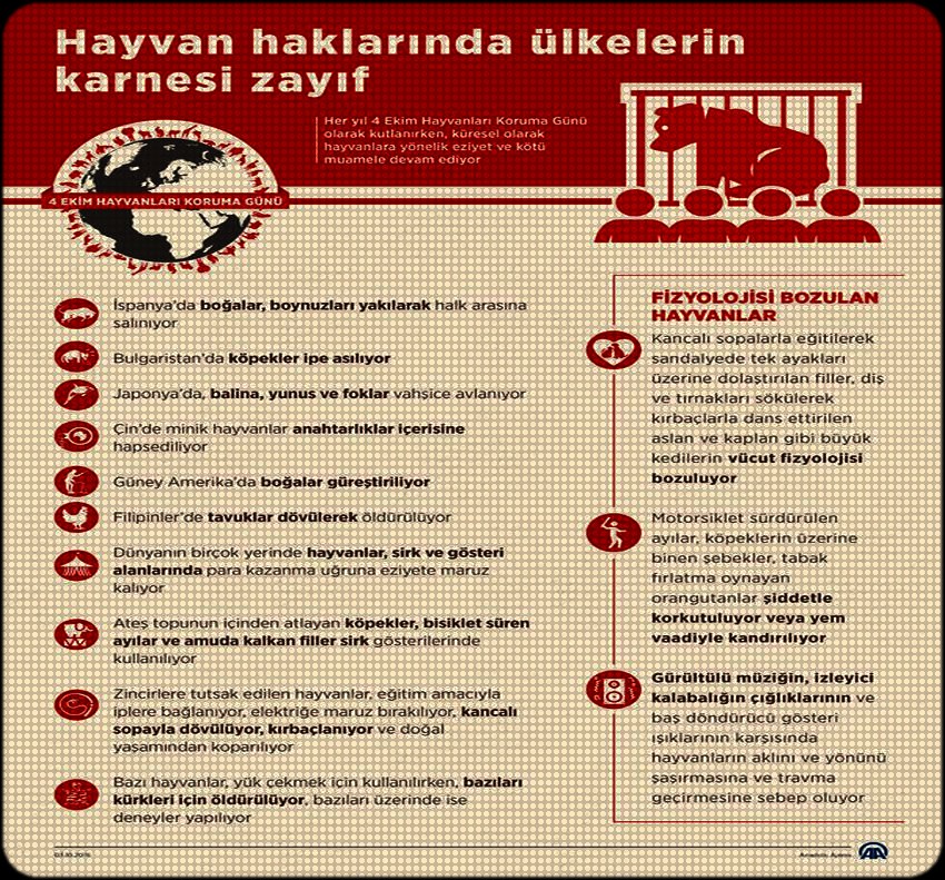 HAYVANLARI KORUMA GÜNÜ