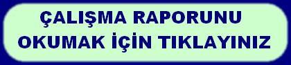 ÇALIŞMA RAPORUNU OKUMAK İÇİN TIKLAYINIZ