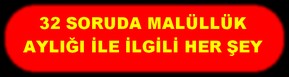 32 SORUDA MALÜLLÜK AYLIĞI İLE İLGİLİ HER ŞEY