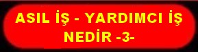 ASIL İŞ YARDIMCI İŞ 3