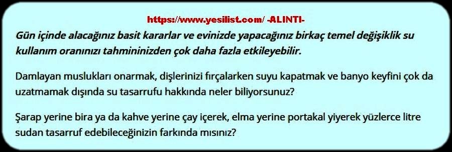 DÜNYA SU GÜNÜ 2