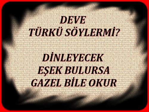 deve türkü söylermi