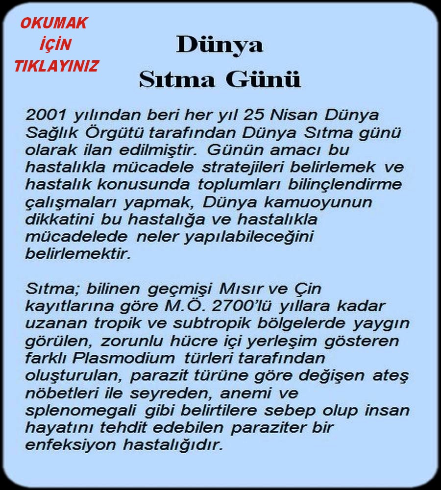 DÜNYA SITMA GÜNÜ