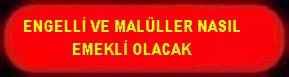 ENGELLİ VE MALÜLLER NASIL EMEKLİ OLACAK