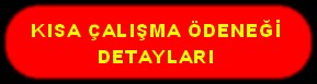 KISA ÇALIŞMA ÖDENEĞİ DETAYLARI