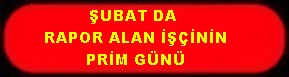 ŞUBAT DA RAPOR ALAN İŞÇİNİN PRİM GÜNÜ