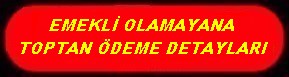 EMEKLİ OLAMAYANA TOPTAN ÖDEME