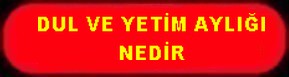 DUL VE YETİM AYLIĞI NEDİR