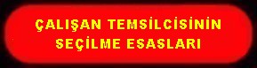 ÇALIŞAN TEMSİLCİSİNİN SEÇİLME ESASLARI