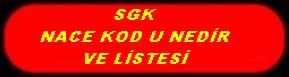 SGK NACE KODU
