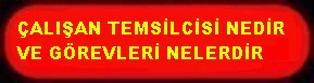 ÇALIŞAN TEMSİLCİSİ NEDİR NE İŞ YAPAR