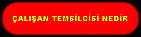 ÇALIŞAN TEMSİLCİSİ NEDİR