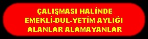 EMEKLİ DUL VE YETİM AYLIĞI