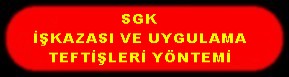 SGK İŞ KAZASI VE UYGULAMA TEFTİŞLERİ