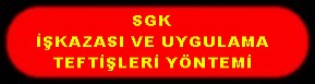 SGK İŞ KAZASI VE UYGULAMA TEFTİŞLERİ