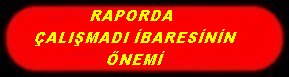 RAPORDA ÇALIŞMADI İBARESİNİN ÖNEMİ