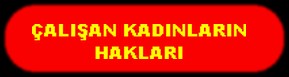 ÇALIŞAN KADINLARIN HAKLARI