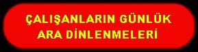 ÇALIŞANLARIN GÜNLÜK ARA DİNLENMELERİ