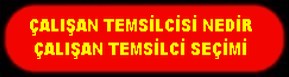 ÇALIŞAN TEMSİLCİSİ NEDİR, TEMSİLCİ SEÇİMİ