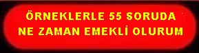 ÖRNEKLERLE 55 SORUDA EMEKLİLK