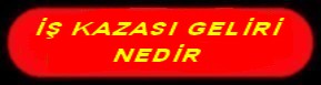 İŞ KAZASI GELİRİ NEDİR