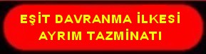 EŞİT DAVRANMA İLKESİ