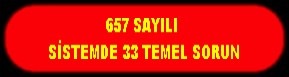 657 SAYILI SİSTEMDE 33 TEMEL SORUN