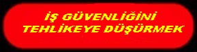 İŞ GÜVENLİĞİNİ TEHLİKEYE DÜŞÜRMEK