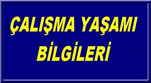 ÇALIŞMA YAŞAMI BİLGİLERİ