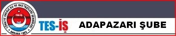 ADAPAZARI ŞUBE
