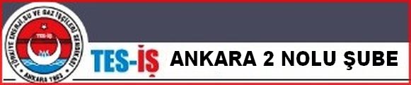 ANKARA 2 NOLU ŞUBE