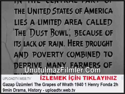 GAZAP ÜZÜMLERİ 2