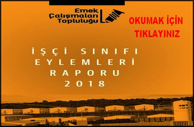 2018 İŞÇİ SINIFI EYLEMLERİ RAPORU