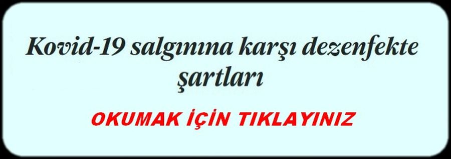 KORONA DEZENFEKTE ŞARTLARI