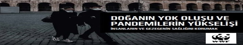 DOĞANIN YOK OLUŞU