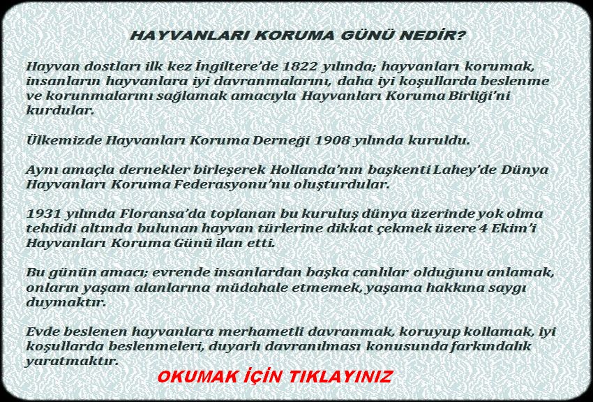 HAYVANLARI KORUMA GÜNÜ