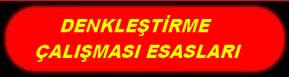 DENKLEŞTİRME ÇALIŞMASI ESASLARI